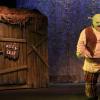 Shrek at The Conejo Players: Shrek on the Swamp